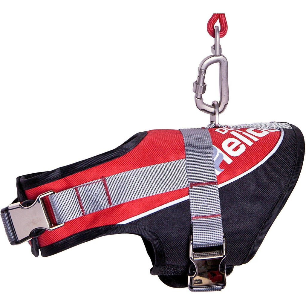 Sporty Reflective Dog Harness and Leash – Bark-Mudder