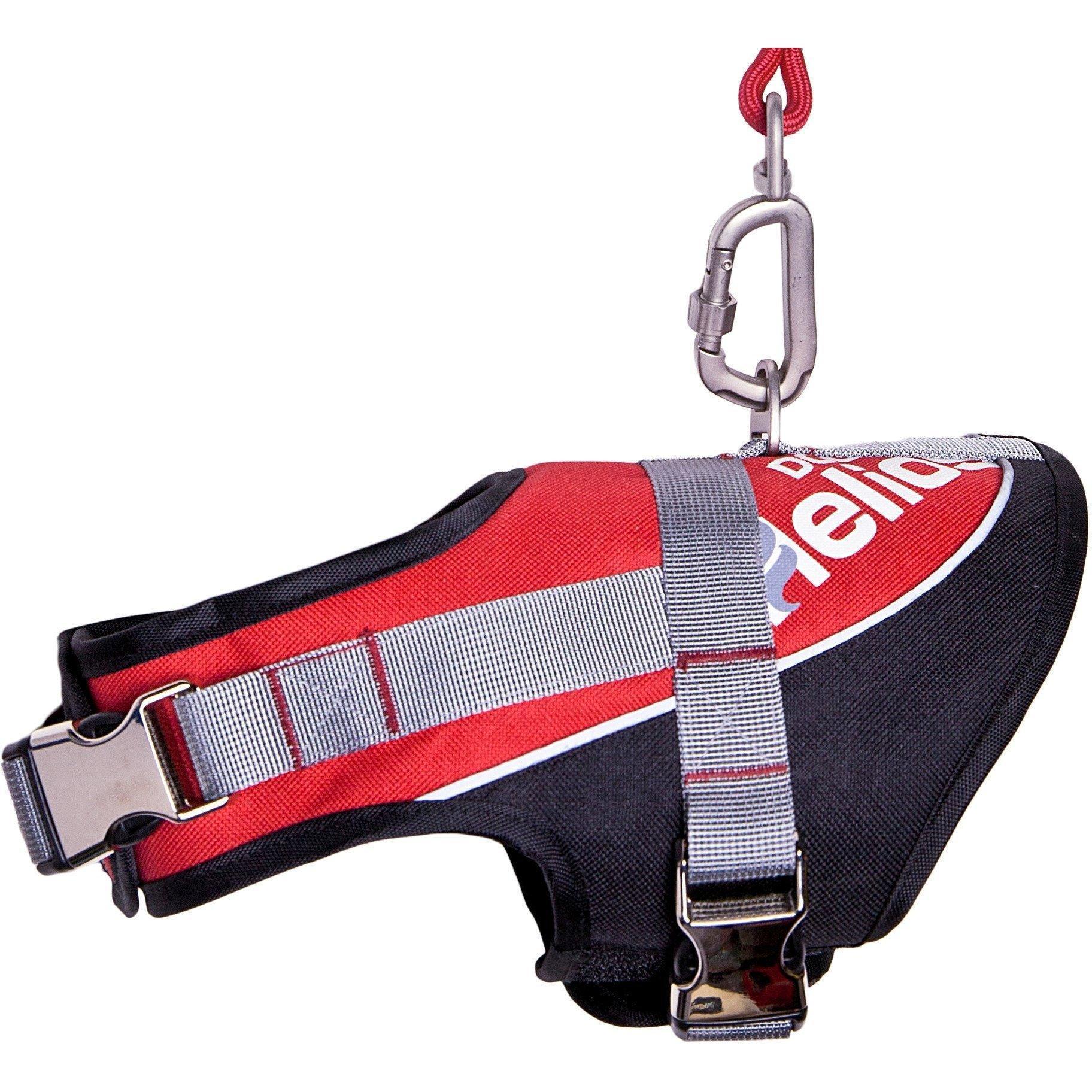 Sporty Reflective Dog Harness and Leash – Bark-Mudder