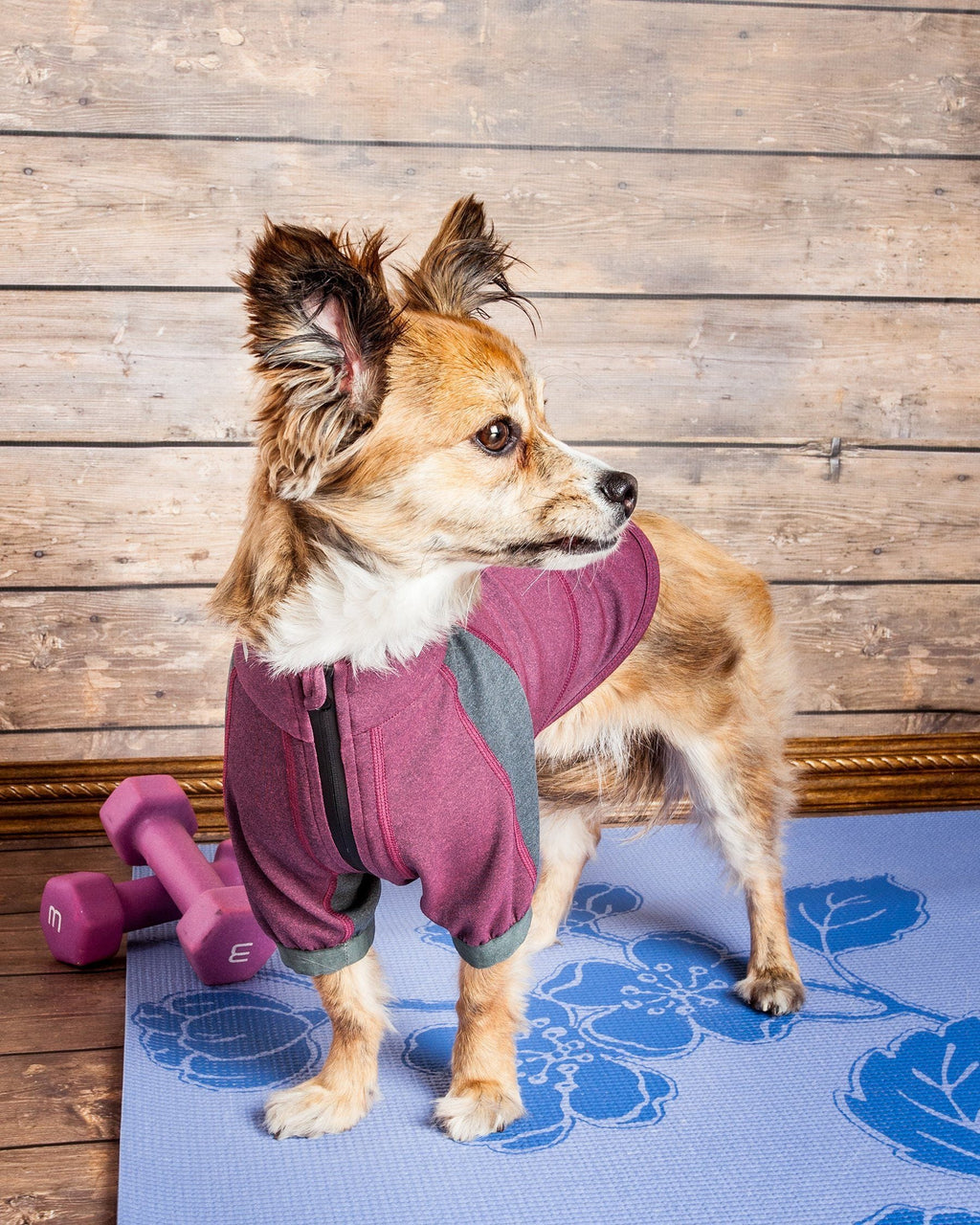 Performance Dog Yoga T-Shirt – Eboneflow
