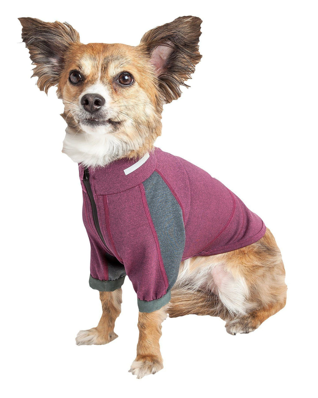 Performance Dog Yoga T-Shirt – Eboneflow