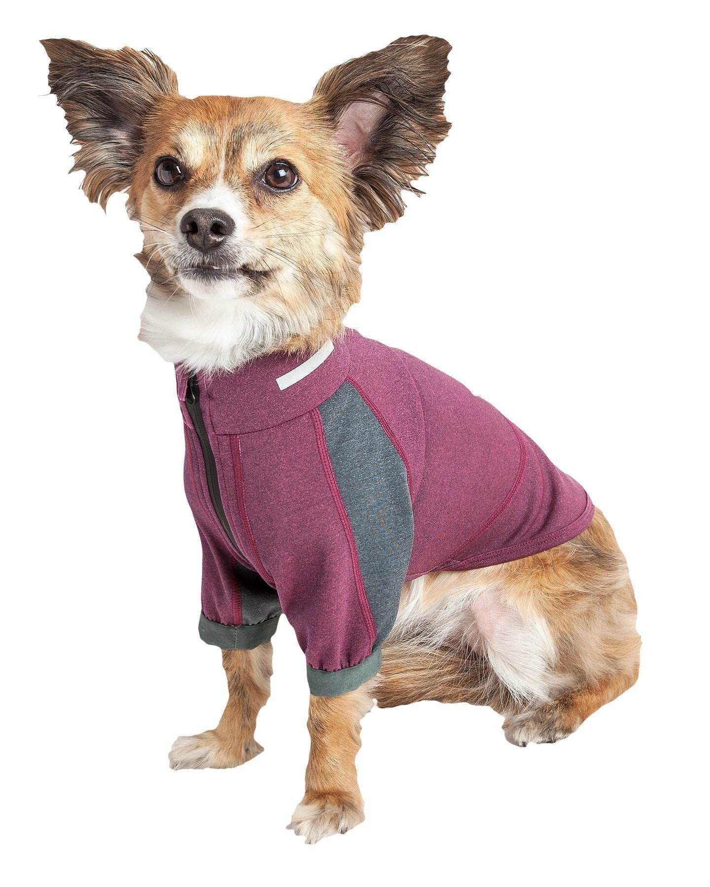 Performance Dog Yoga T-Shirt – Eboneflow