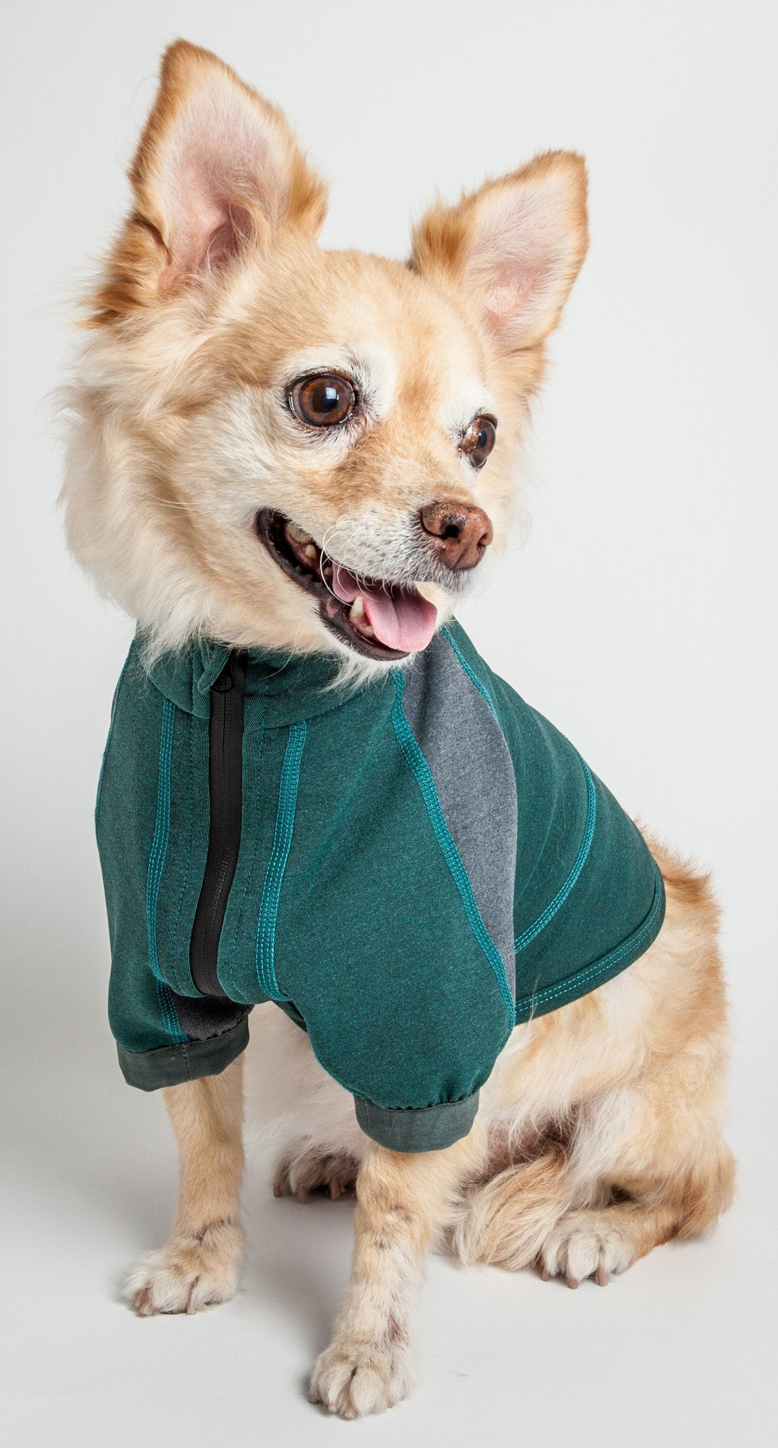 Performance Dog Yoga T-Shirt – Eboneflow