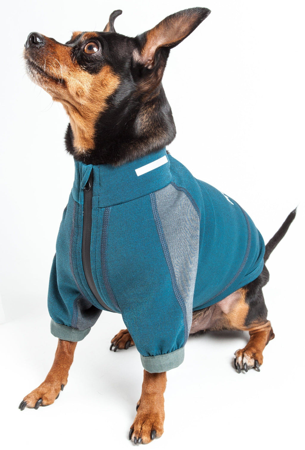 Performance Dog Yoga T-Shirt – Eboneflow