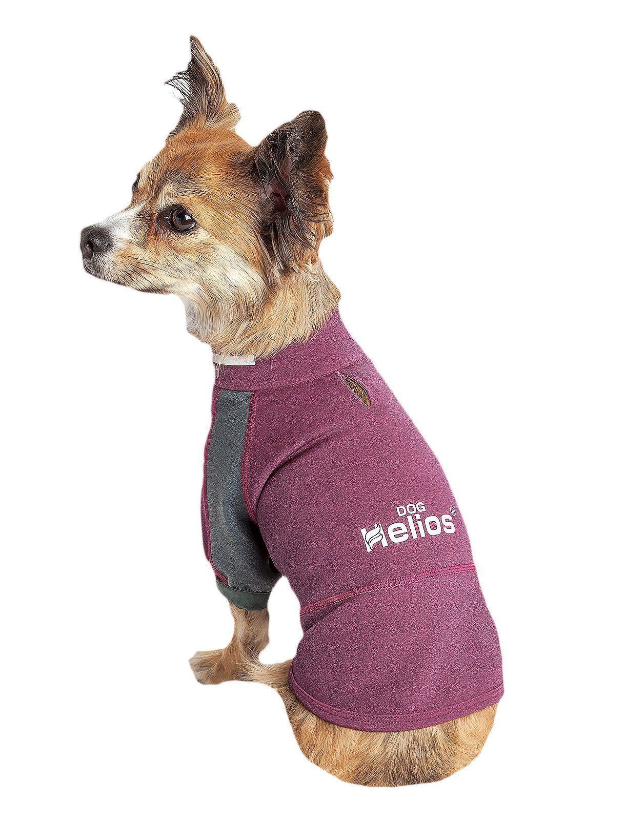 Performance Dog Yoga T-Shirt – Eboneflow