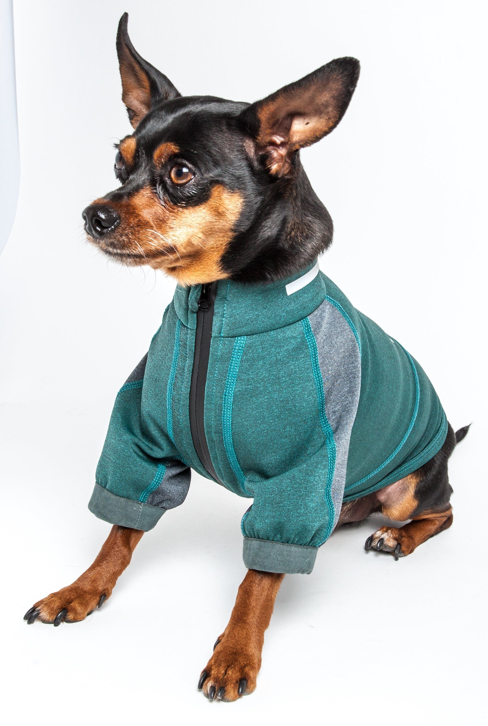 Performance Dog Yoga T-Shirt – Eboneflow