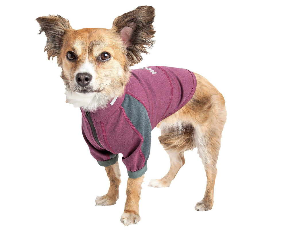 Performance Dog Yoga T-Shirt – Eboneflow