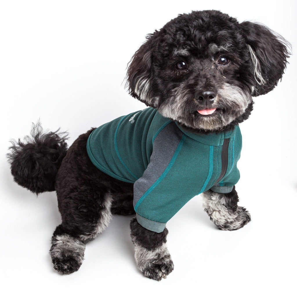 Performance Dog Yoga T-Shirt – Eboneflow