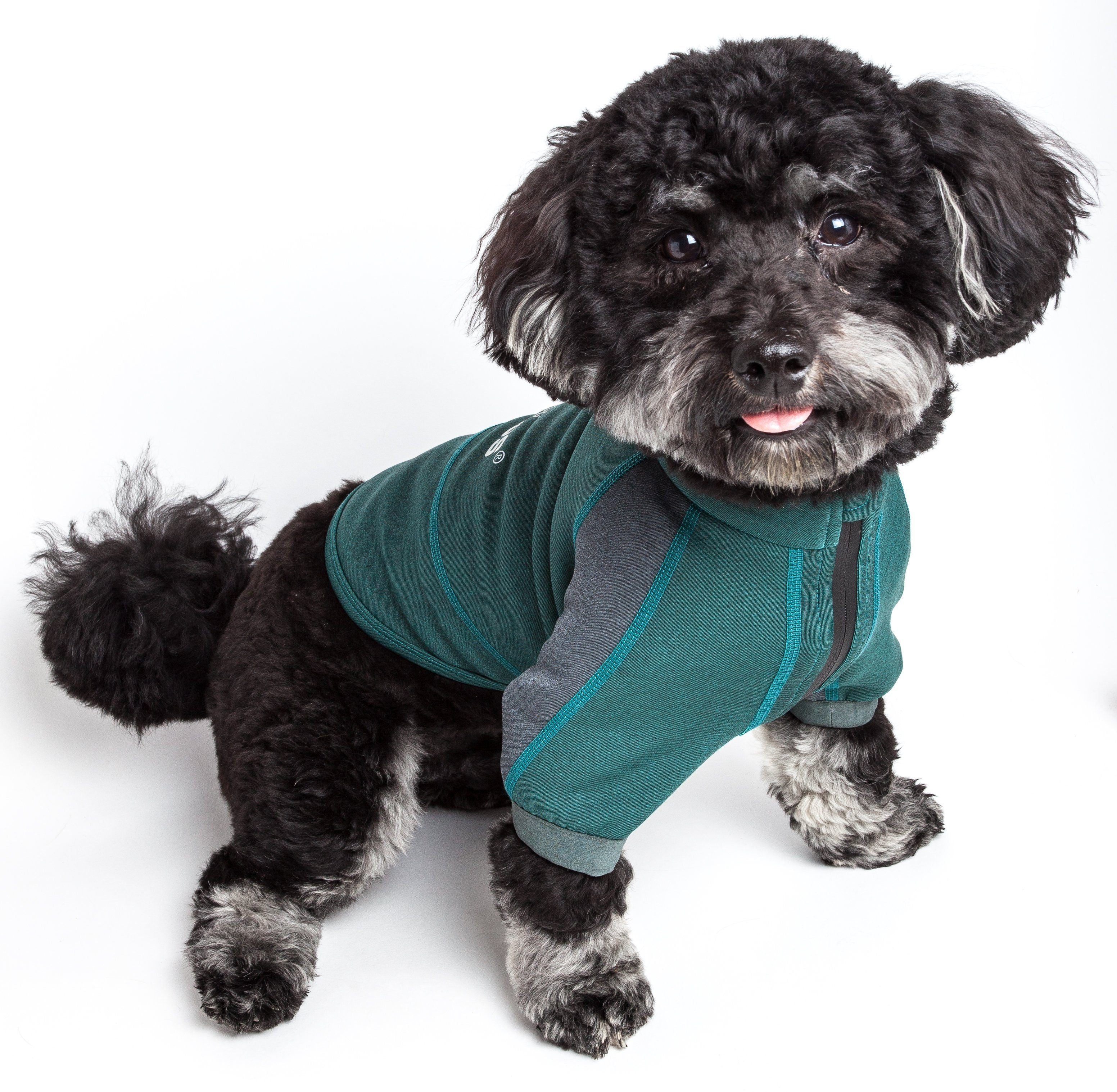 Performance Dog Yoga T-Shirt – Eboneflow