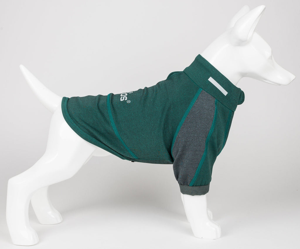 Performance Dog Yoga T-Shirt – Eboneflow