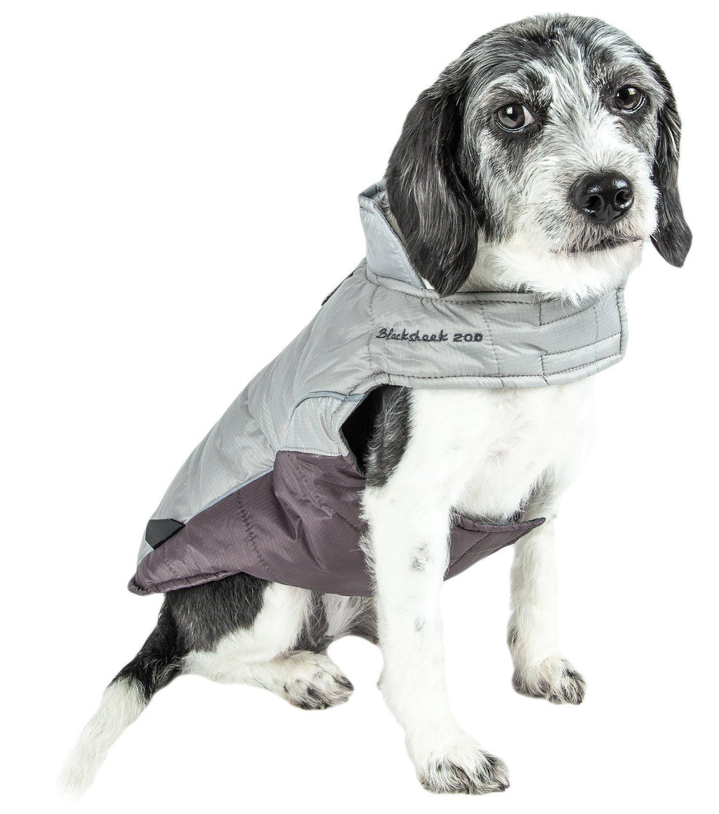 Insulated Plush Winter Dog Coat – Hurricane