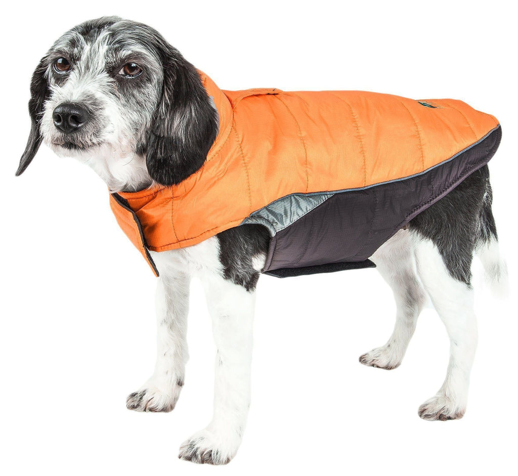 Insulated Plush Winter Dog Coat – Hurricane