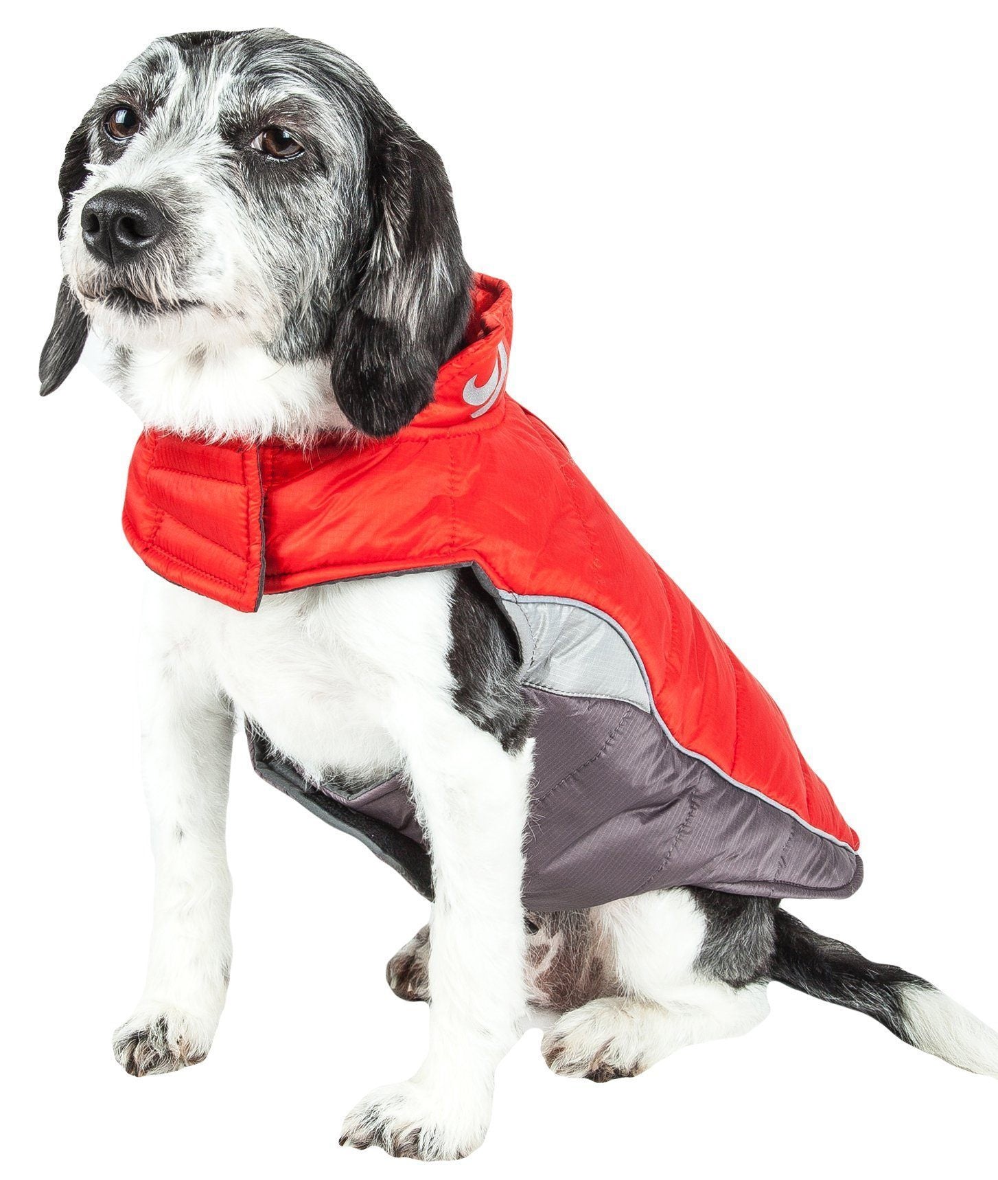 Insulated Plush Winter Dog Coat – Hurricane