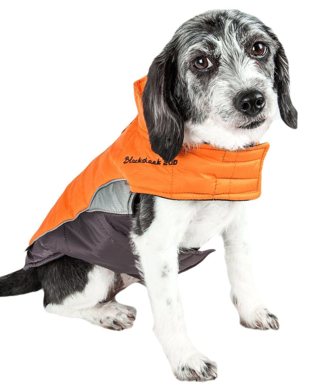 Insulated Plush Winter Dog Coat – Hurricane