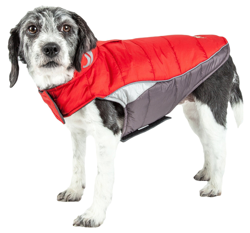 Insulated Plush Winter Dog Coat – Hurricane