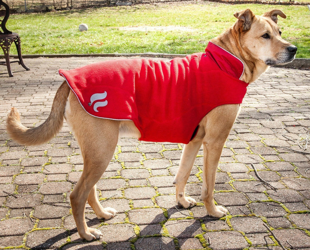 2-in-1 Layered Performance Dog Jacket – Lotus-Rusher