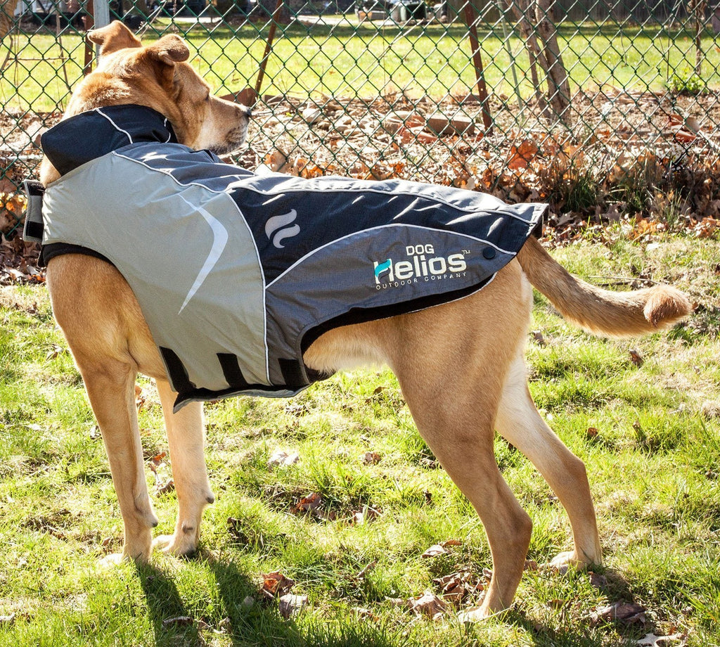 2-in-1 Layered Performance Dog Jacket – Lotus-Rusher