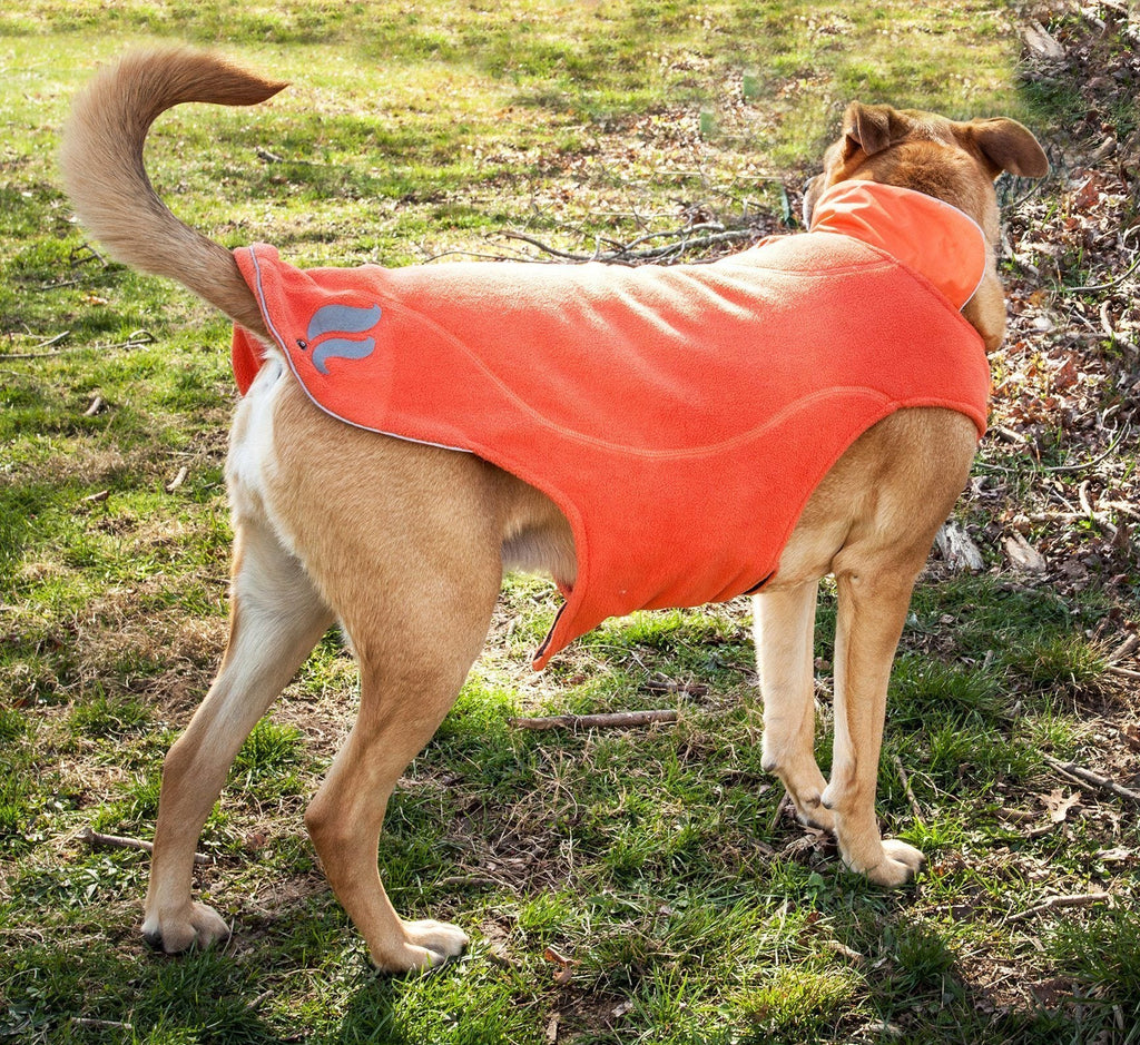 2-in-1 Layered Performance Dog Jacket – Lotus-Rusher