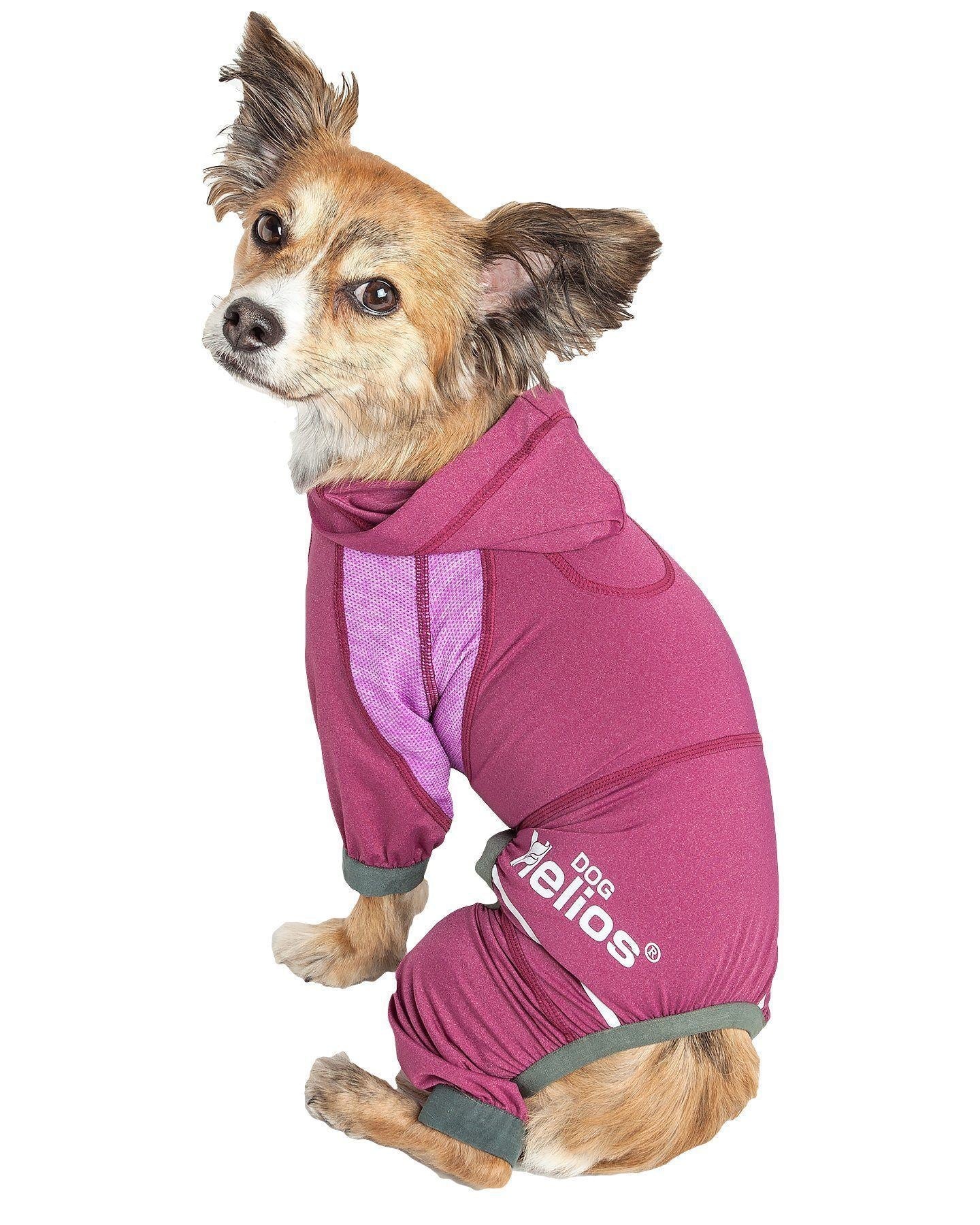 Yoga Performance Dog Tracksuit Hoodie – Namastail