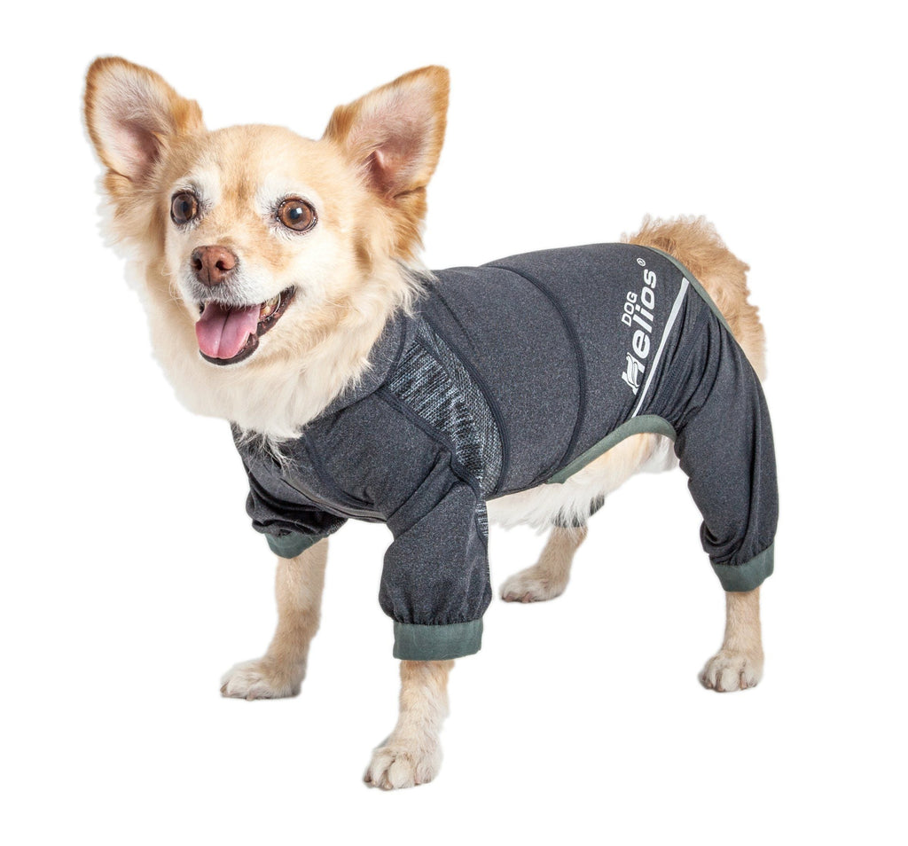 Yoga Performance Dog Tracksuit Hoodie – Namastail