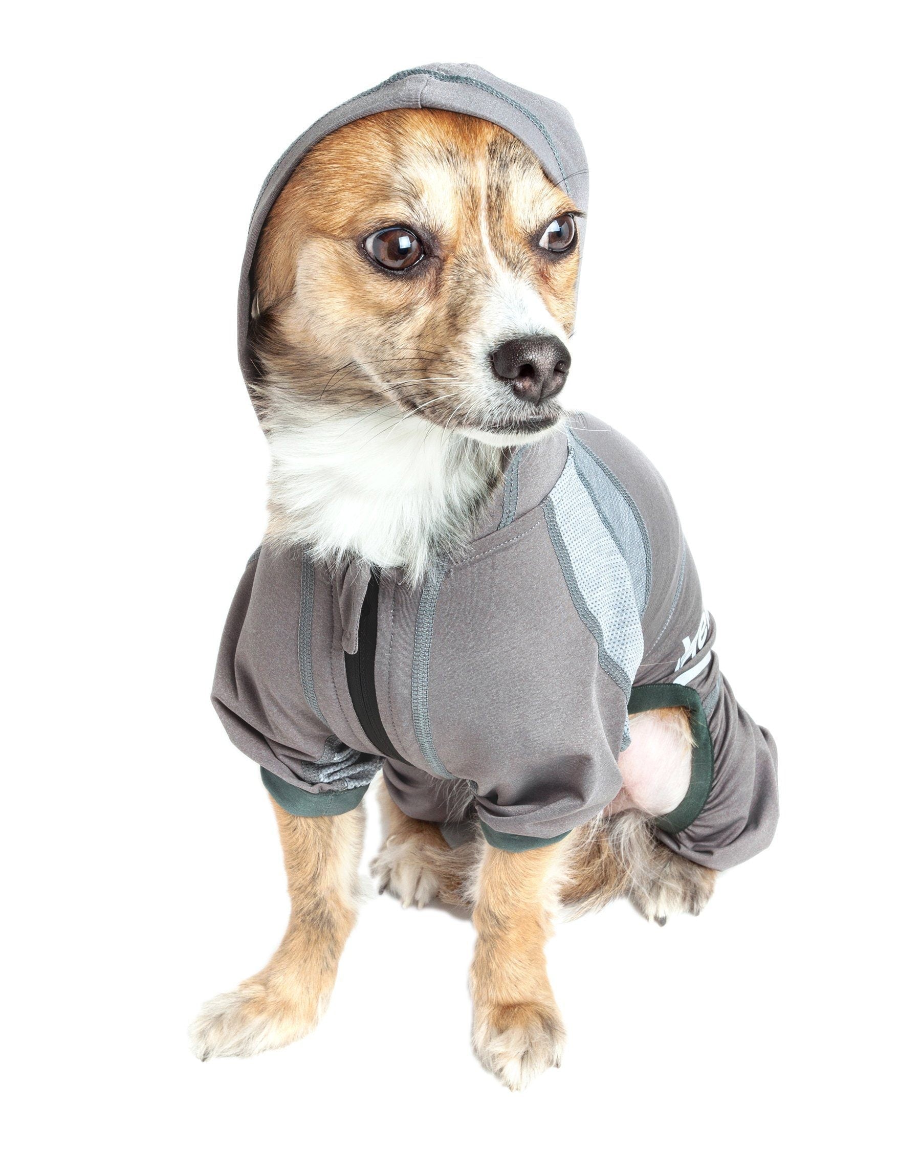 Yoga Performance Dog Tracksuit Hoodie – Namastail