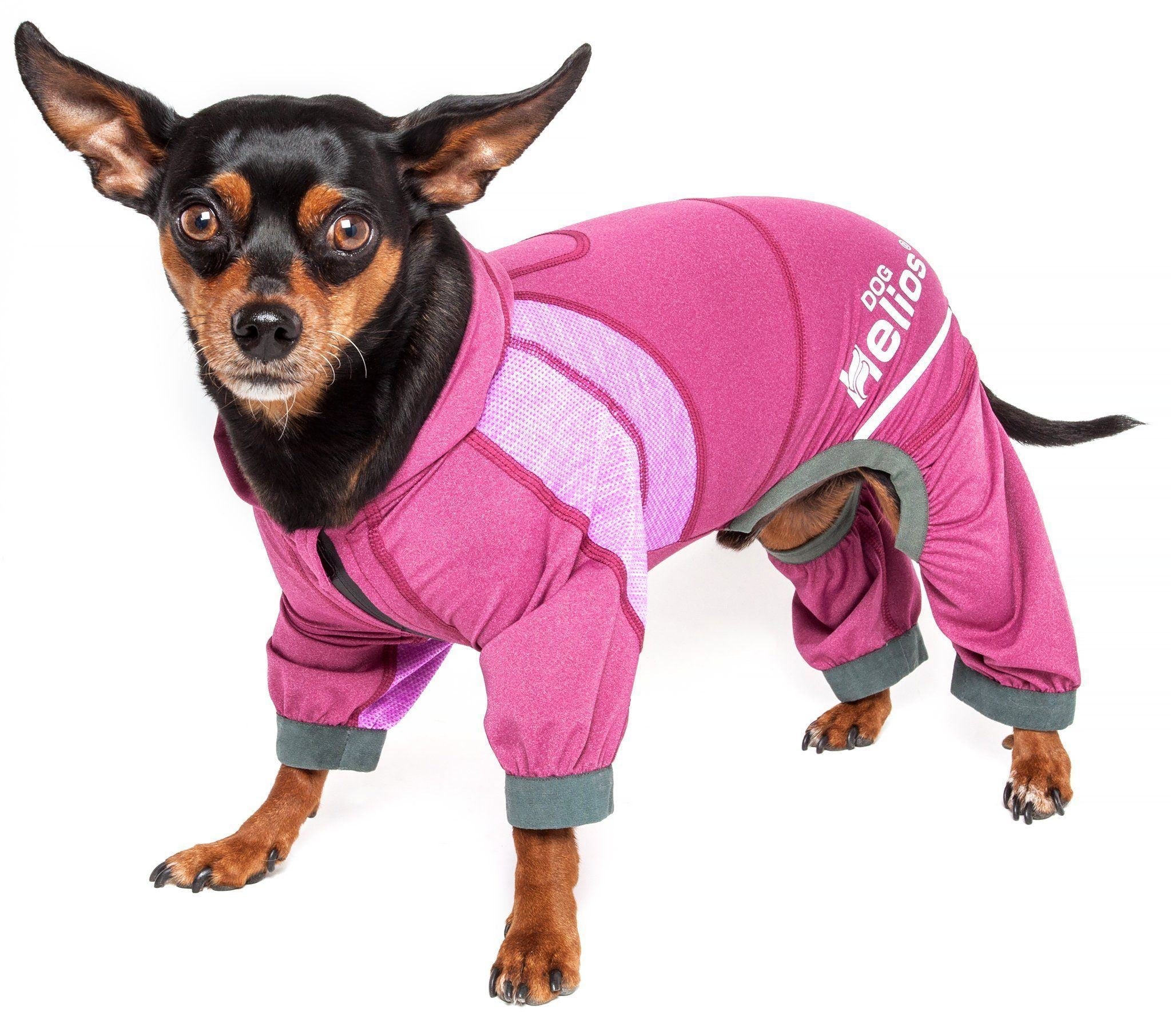Yoga Performance Dog Tracksuit Hoodie – Namastail