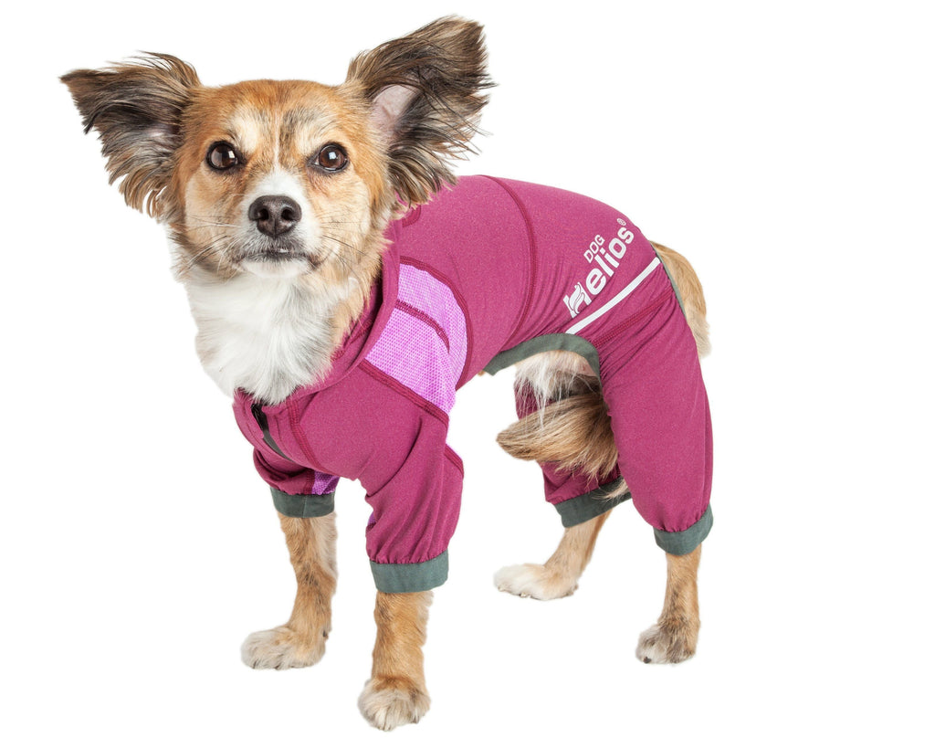 Yoga Performance Dog Tracksuit Hoodie – Namastail