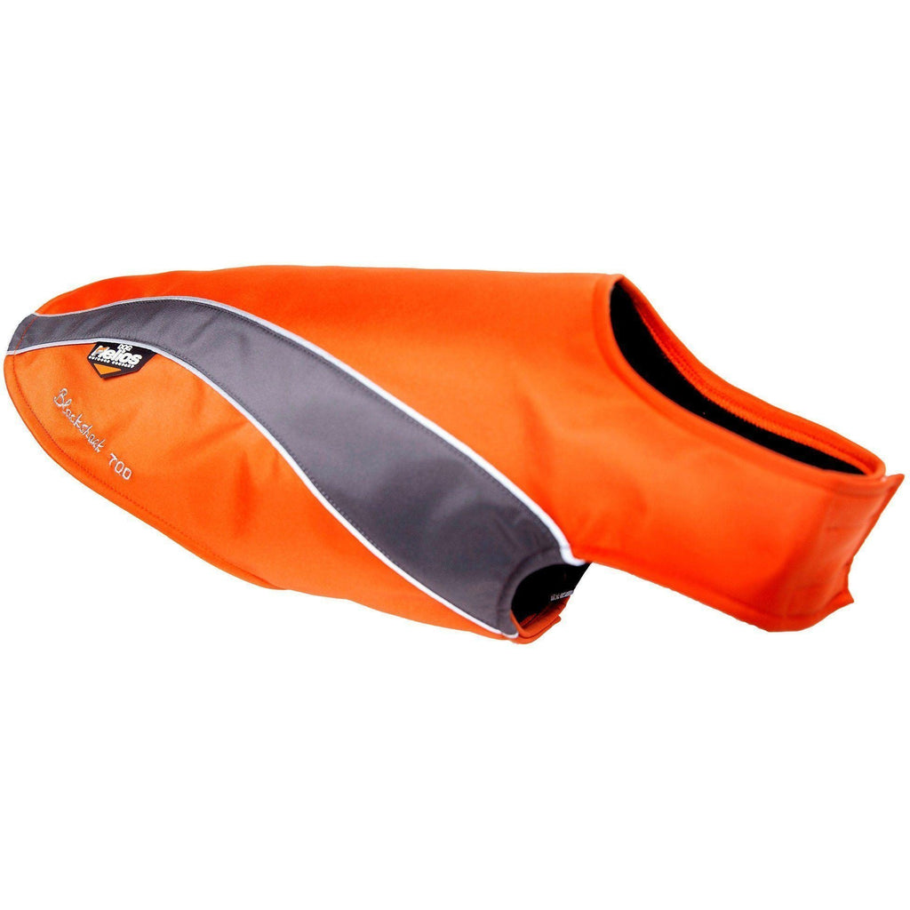 Neoprene Performance Dog Coat – Octane
