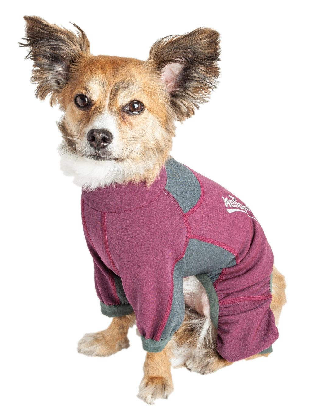 Dog Helios ® 'Rufflex' Mediumweight 4-Way-Stretch Fitness Yoga Dog Tracksuit Jacket
