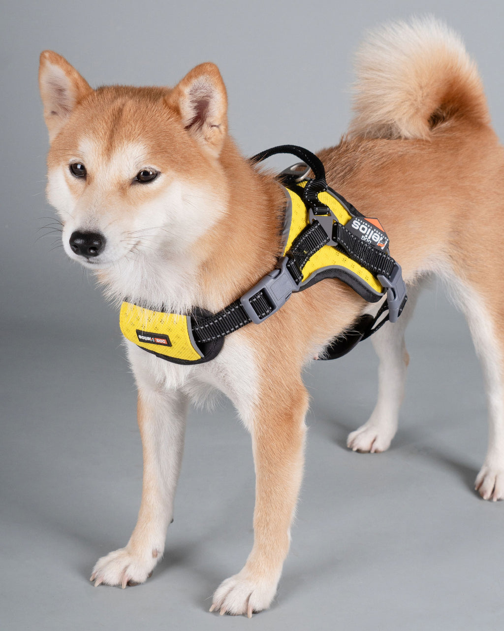 Sporty Free-Range Dog Harness – Scorpion