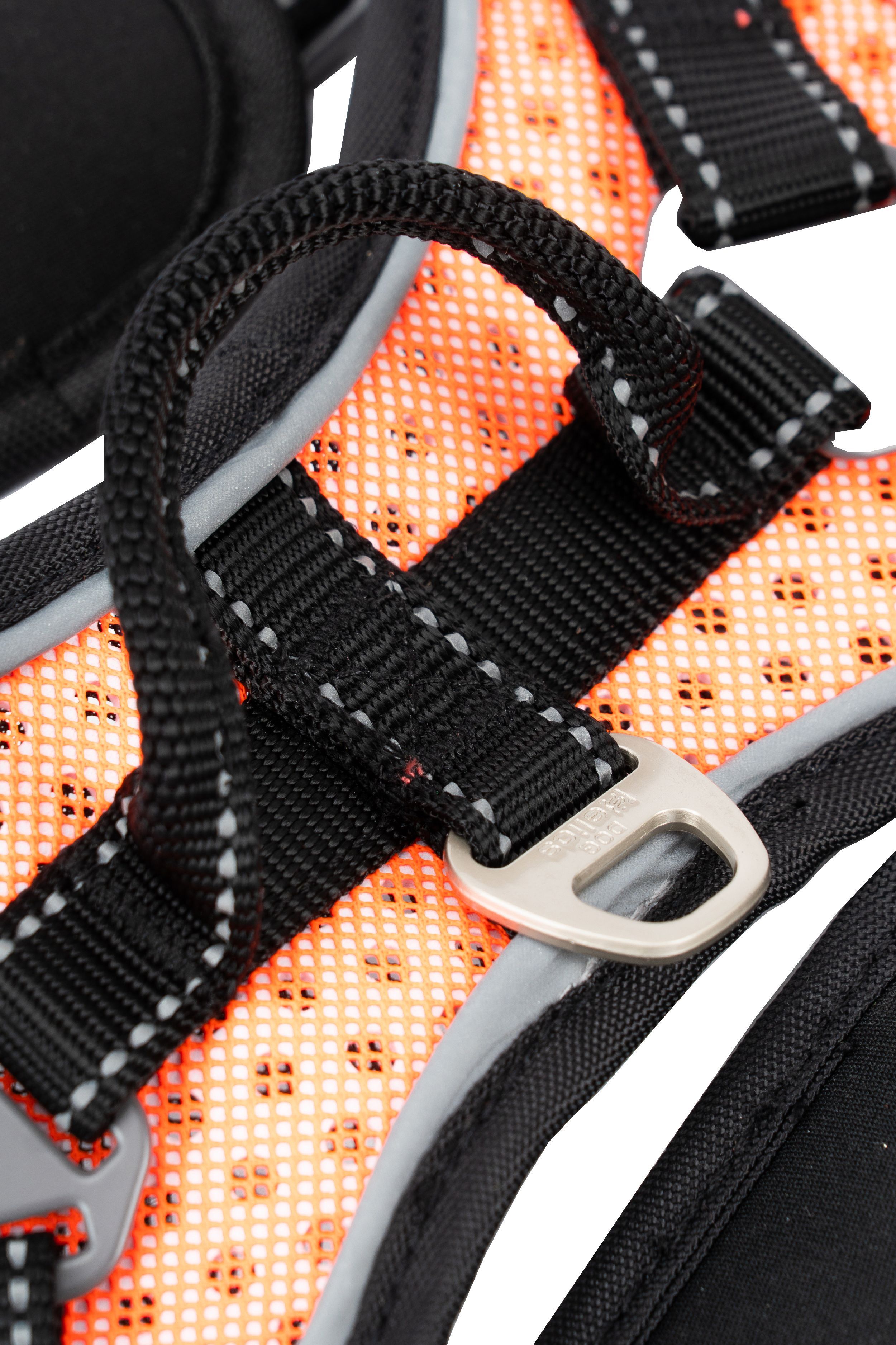 Sporty Free-Range Dog Harness – Scorpion