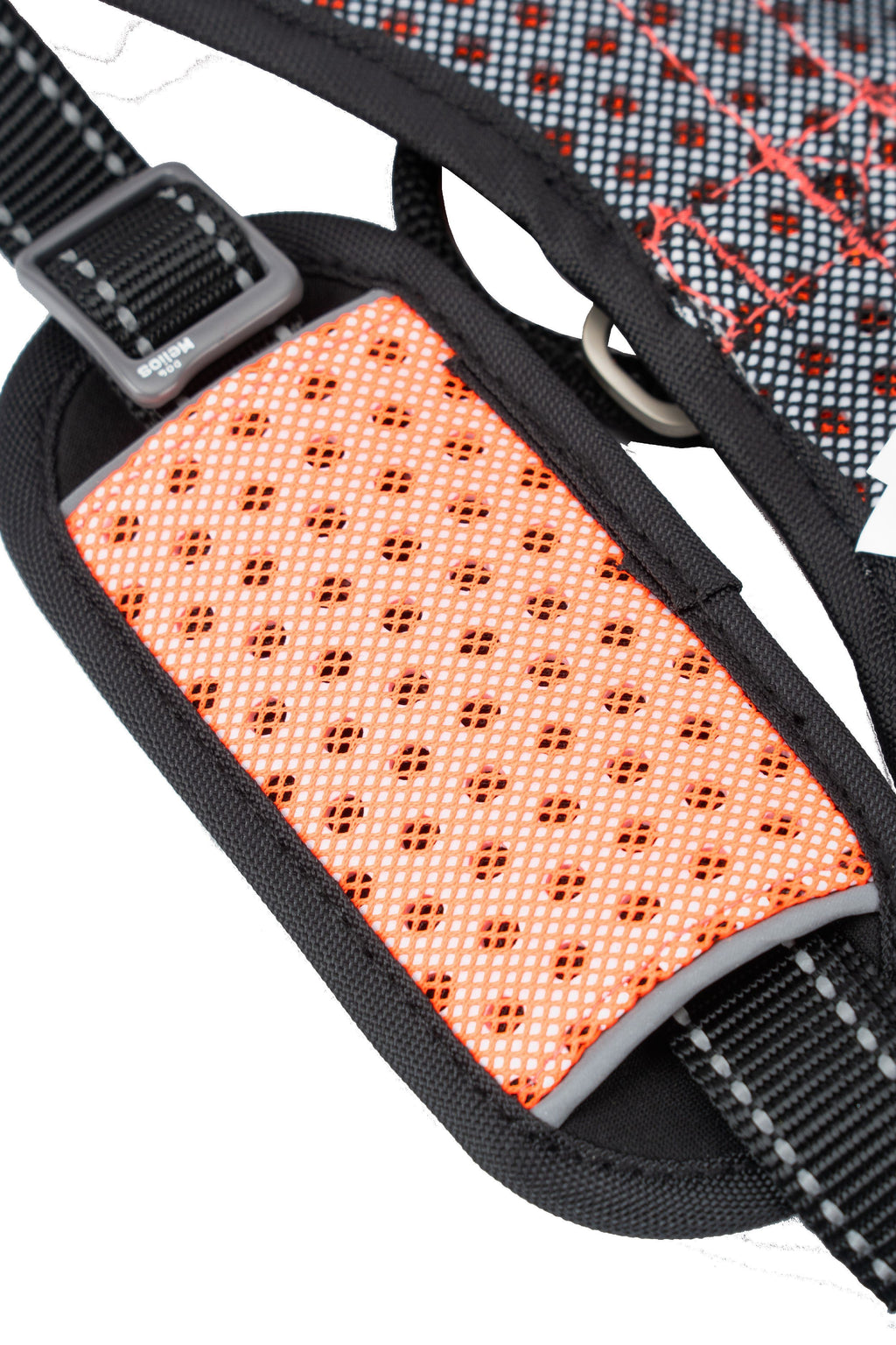 Sporty Free-Range Dog Harness – Scorpion