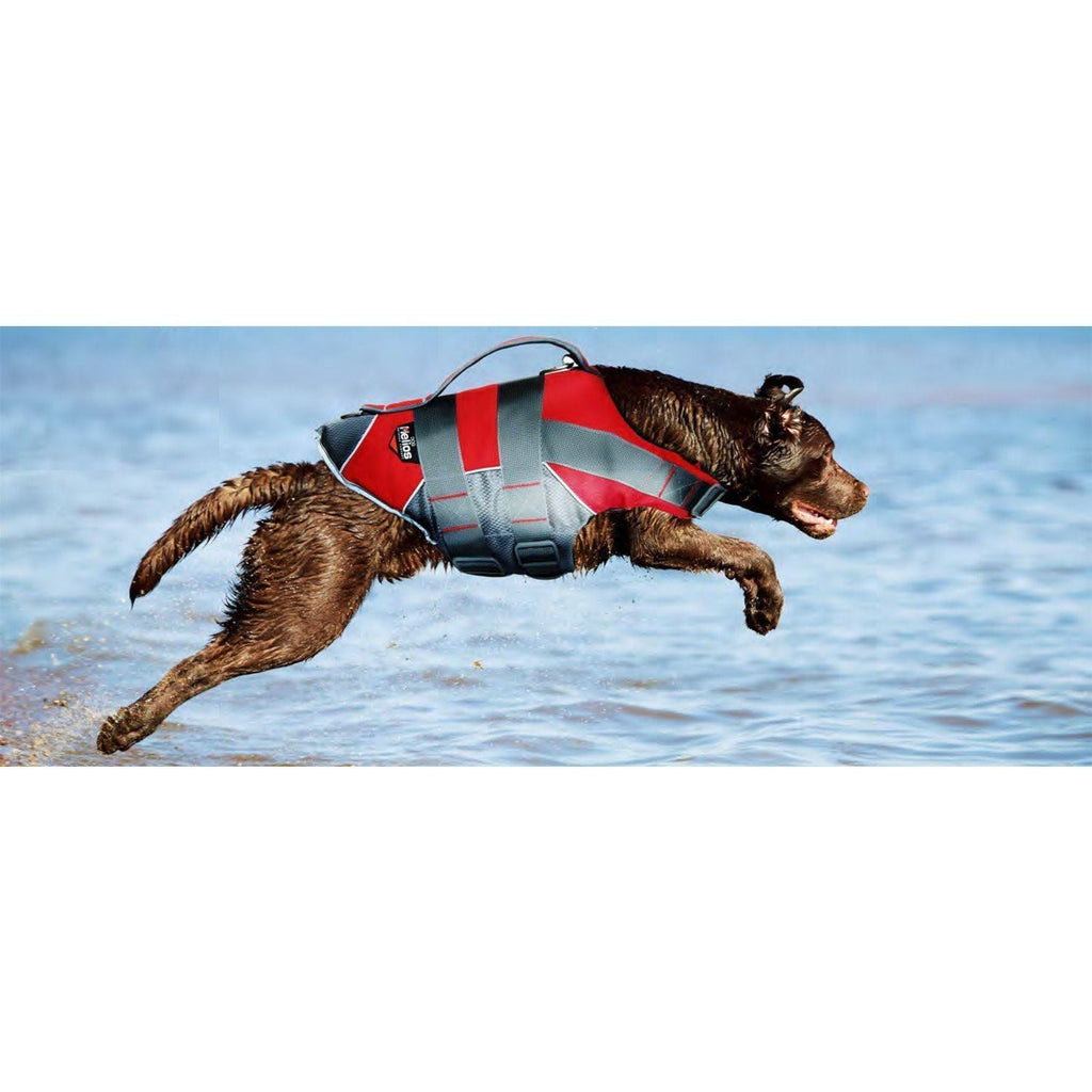 Floating Safety Dog Life Jacket – Splash-Explore