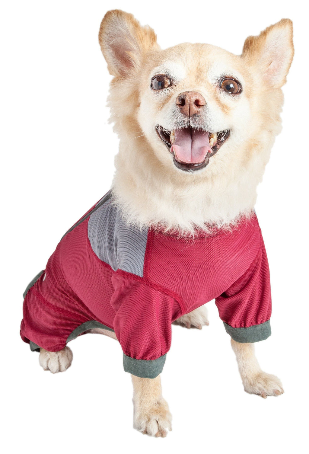 Lightweight Yoga Dog Tracksuit – Tail Runner