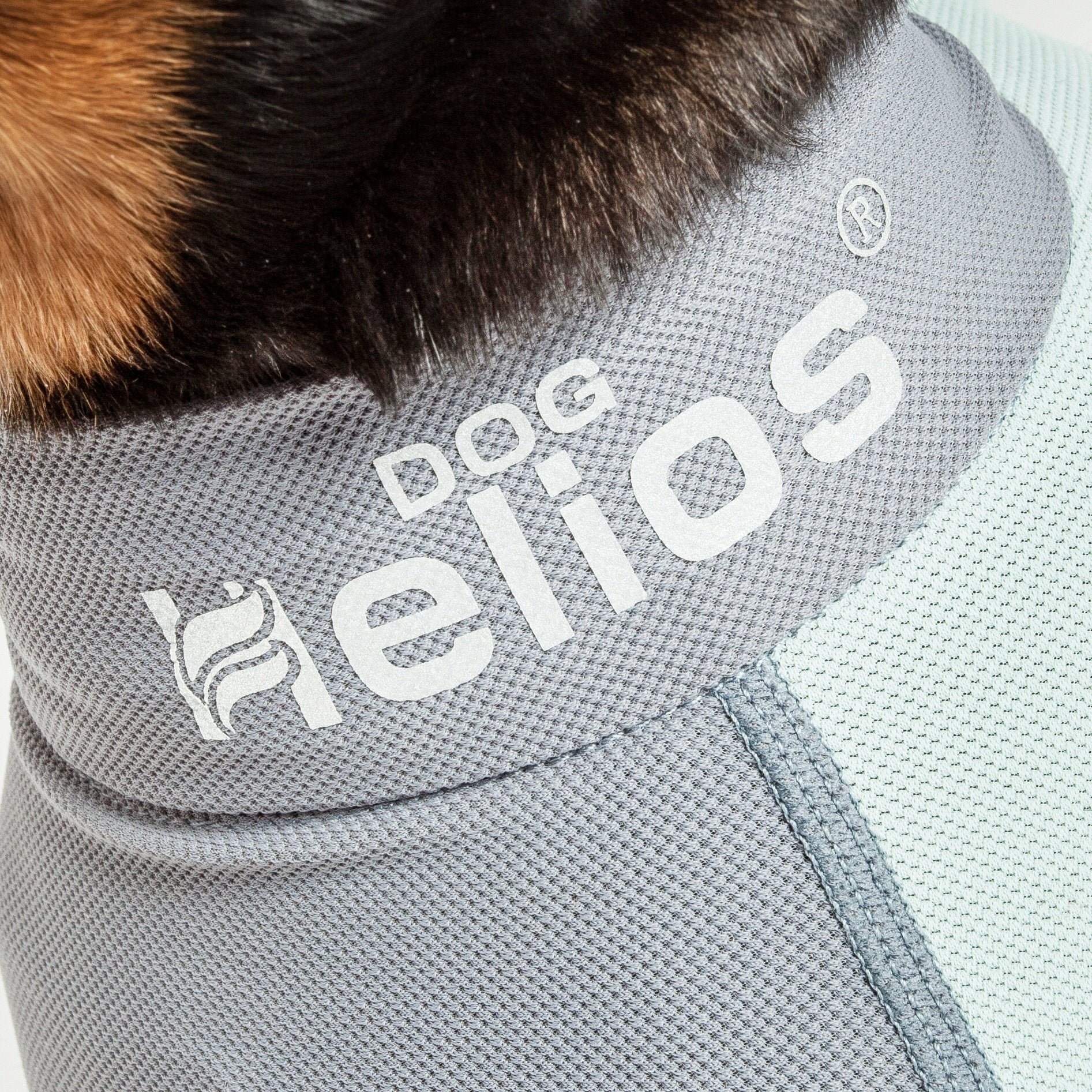 Lightweight Yoga Dog Tracksuit – Tail Runner