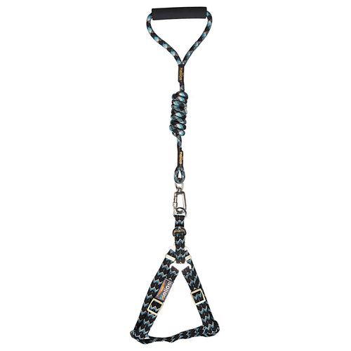 Adjustable Dog Harness and Leash – Surfside