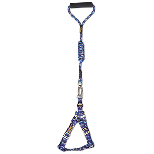 Adjustable Dog Harness and Leash – Surfside