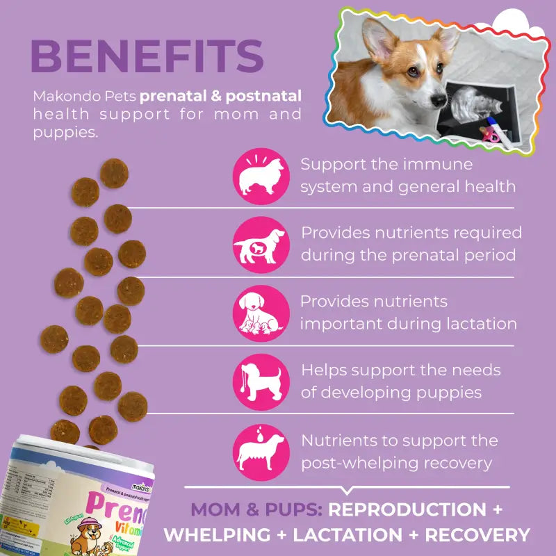 Dog Prenatal Supplement – Multivitamin (120 Soft Chews)