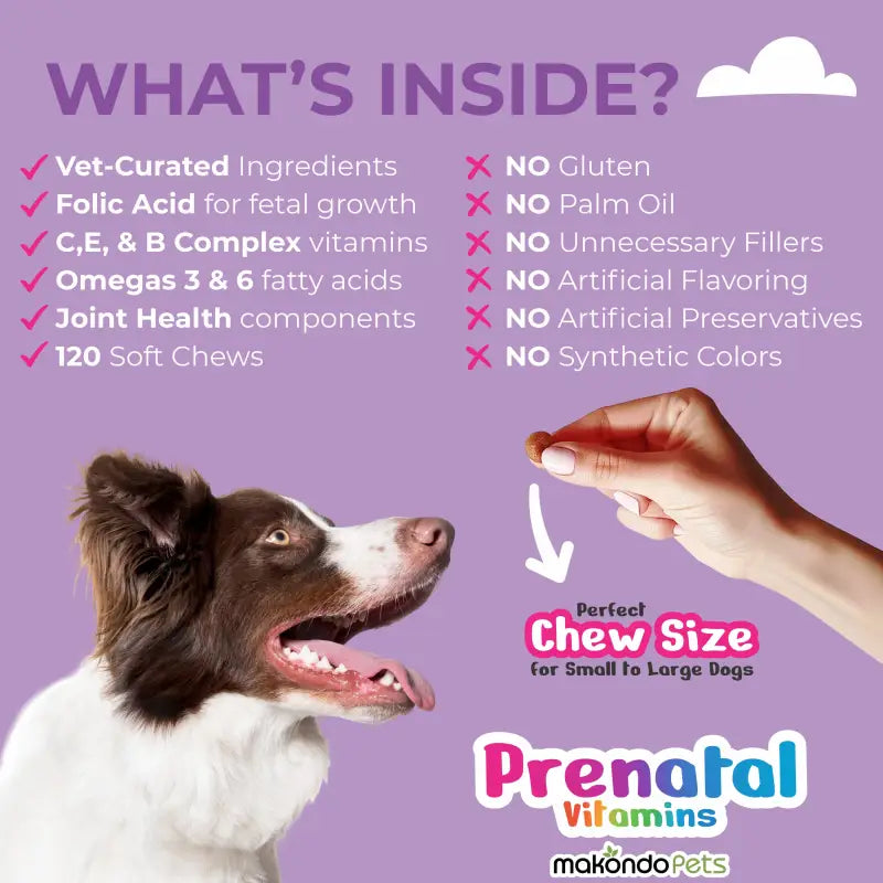 Dog Prenatal Supplement – Multivitamin (120 Soft Chews)