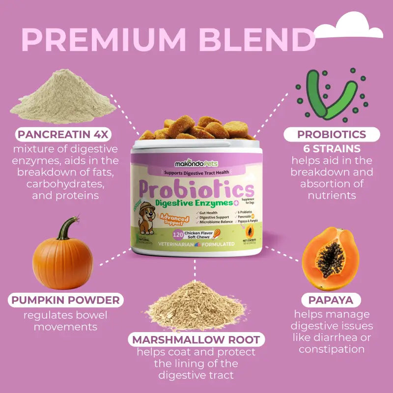 Dog Probiotic and Digestive Enzyme Supplement (120 Soft Chews)