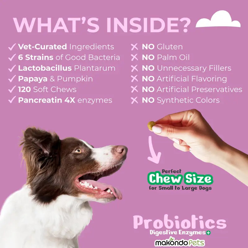 Dog Probiotic and Digestive Enzyme Supplement (120 Soft Chews)