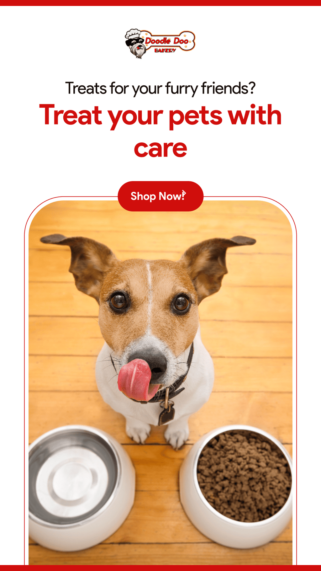 Doodle Doo Bakery Party Bag Treat Blend Dog Treat