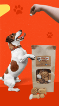 Doodle Doo Bakery Party Bag Treat Blend Dog Treat