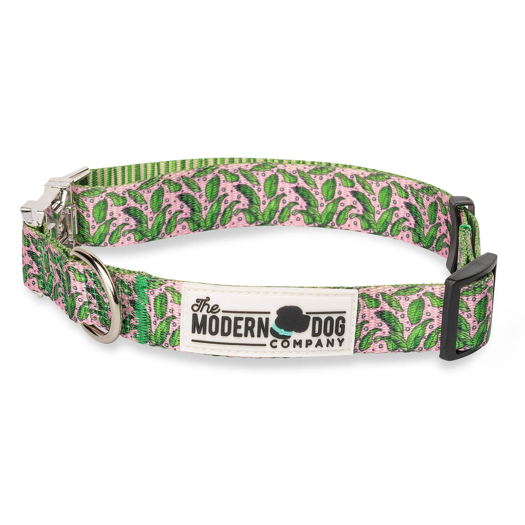 Pink Tropics Dog Collar