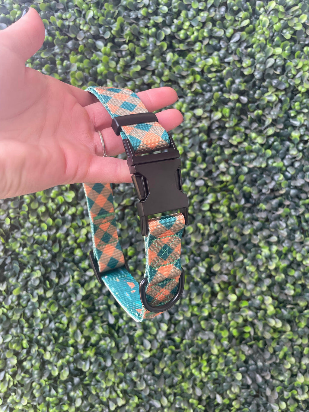 Plaid Camping Dog Collar