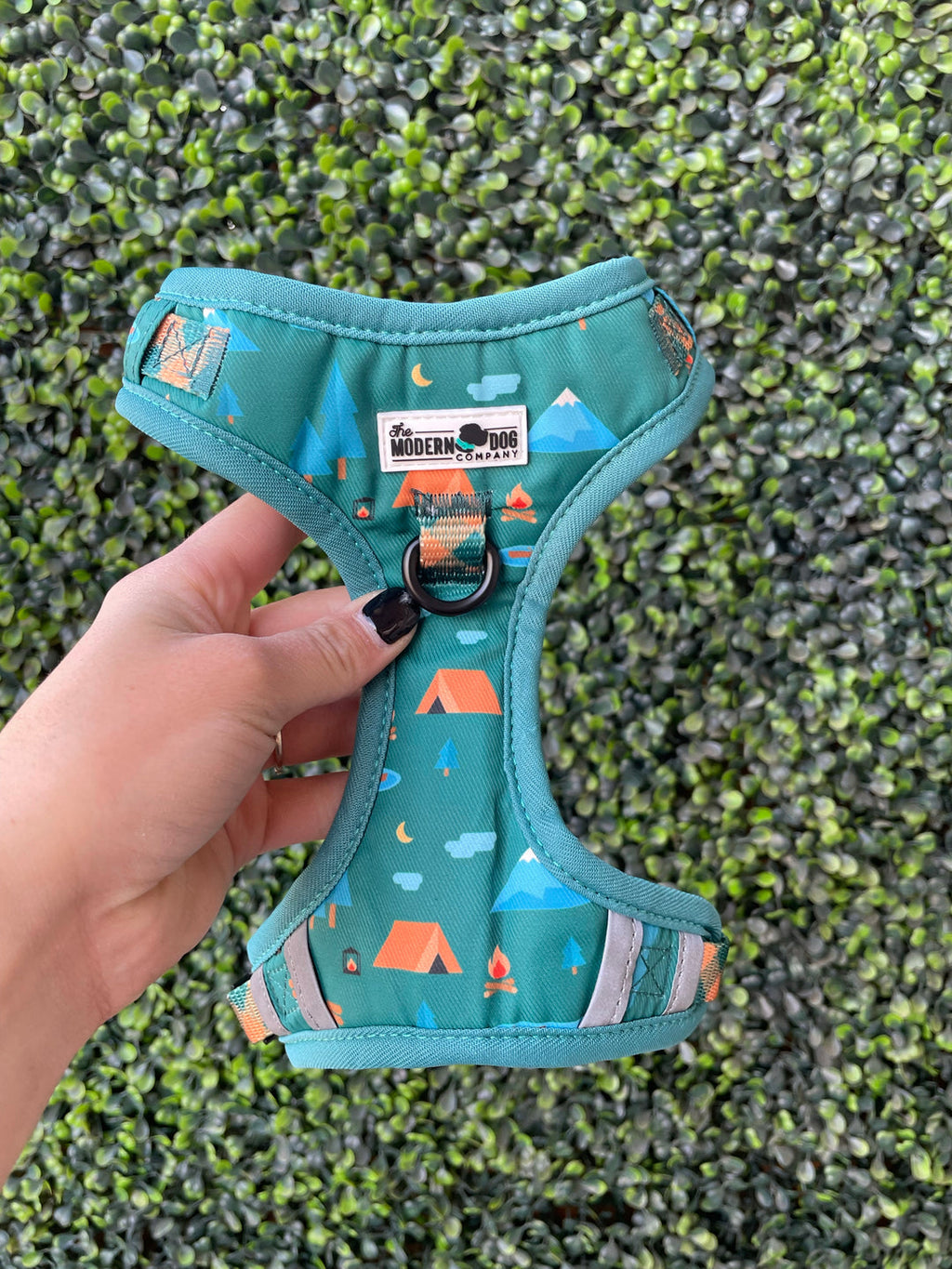Camping Dog Harness