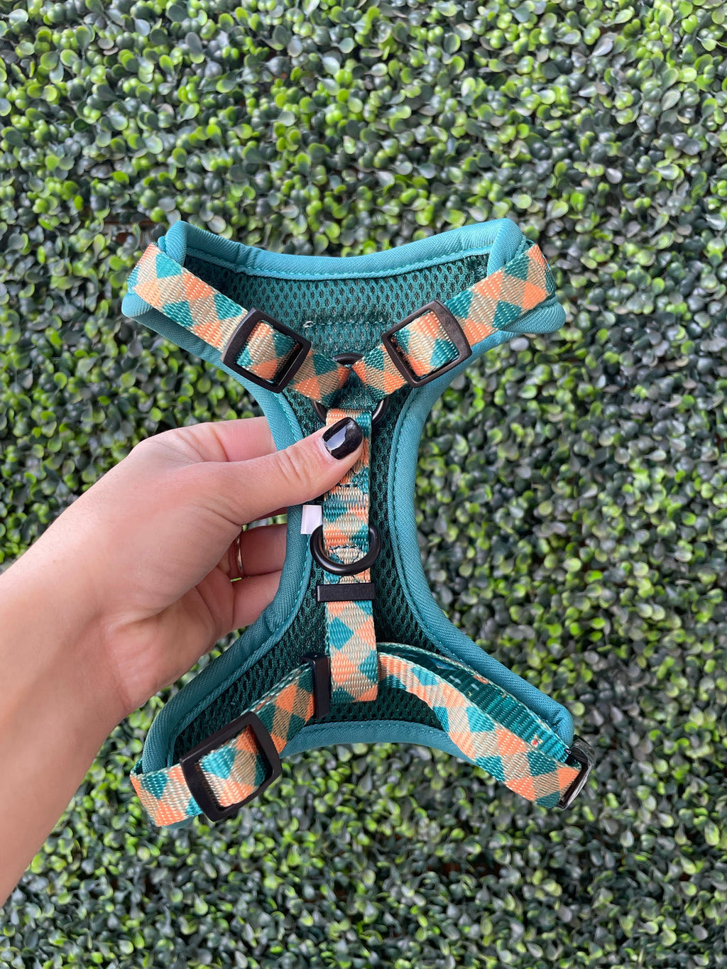 Camping Dog Harness