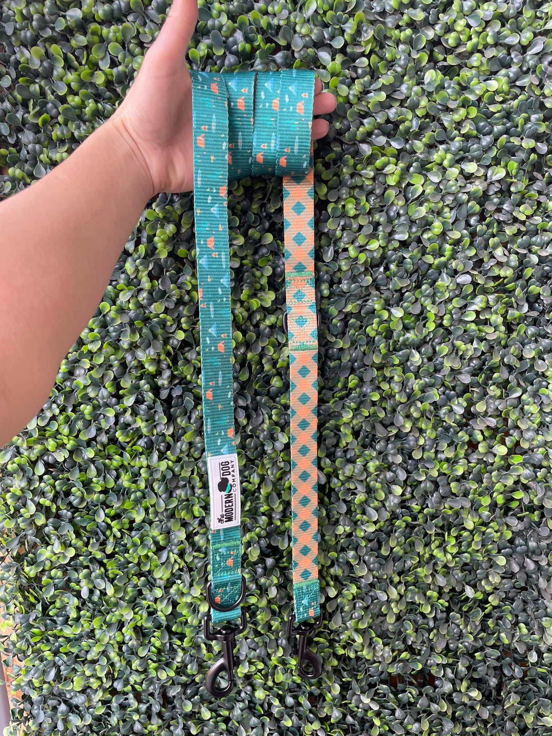 Camping Dog Leash
