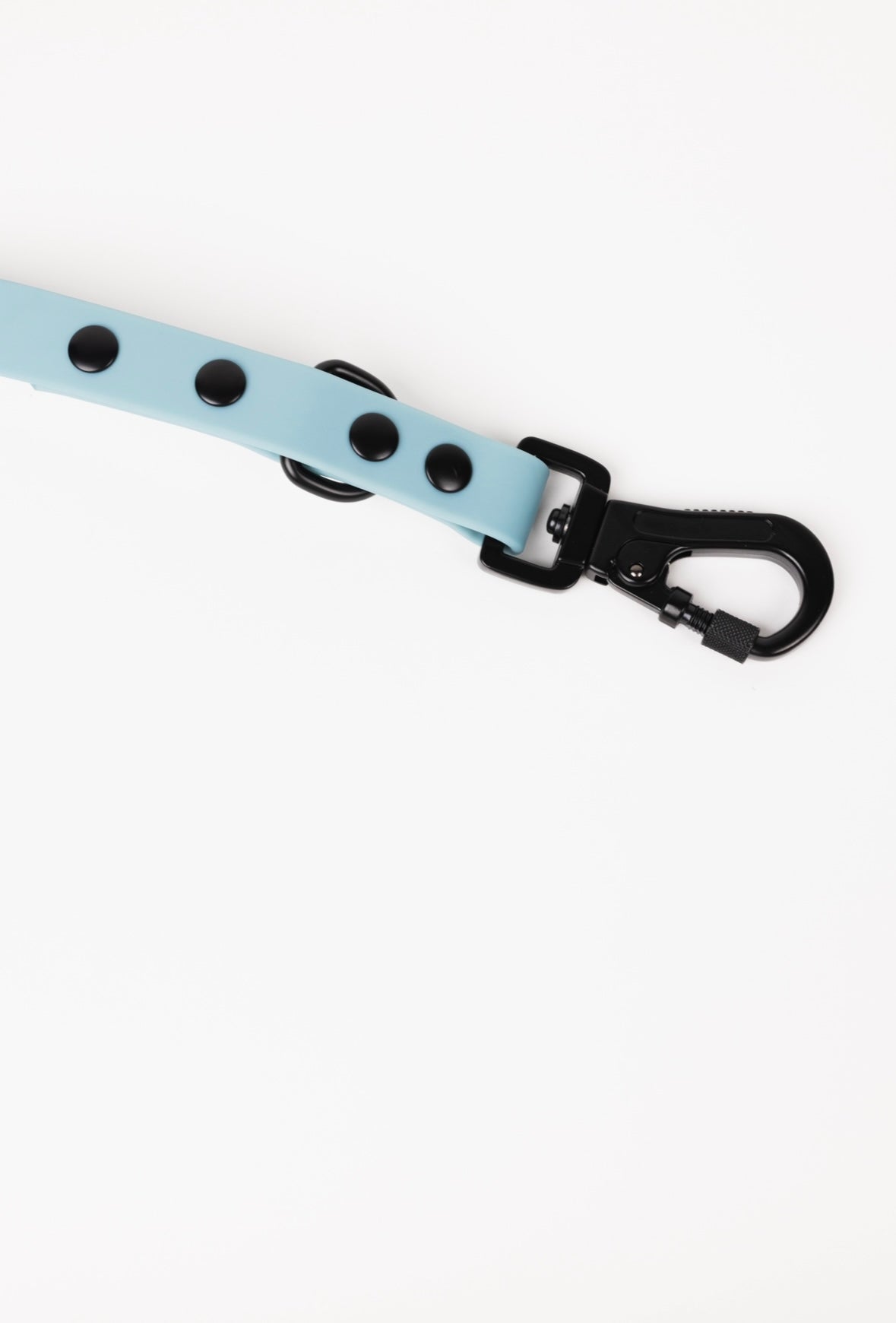 Dusty Blue Adjustable Dog Leash
