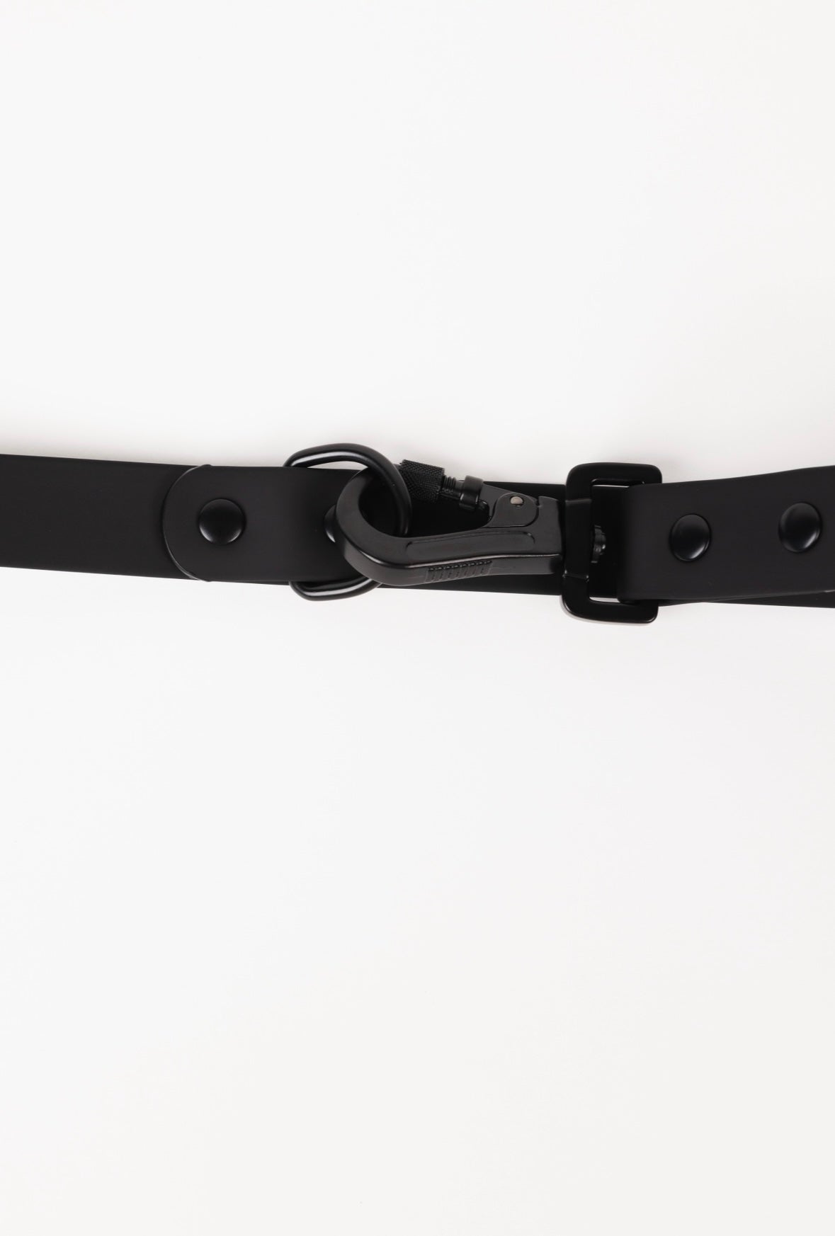Better in Black Dog Leash