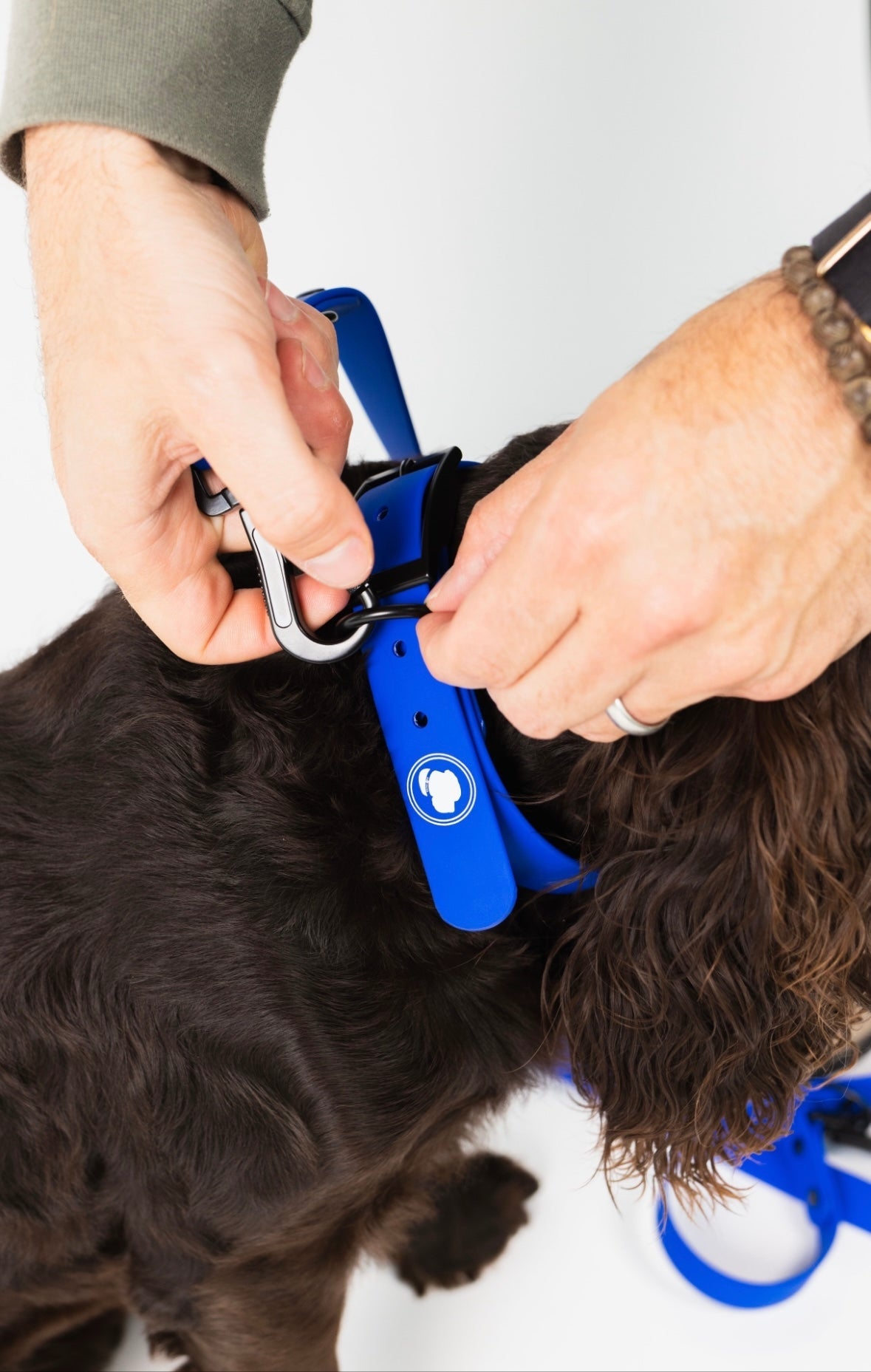 Royal Blue Weather and Odor Resistant Dog Collar